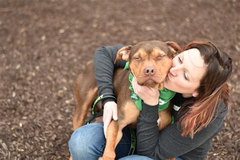 Foster | Fetching Tails Foundation