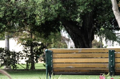 Free Stock Photo Of Back Of Wooden Park Bench