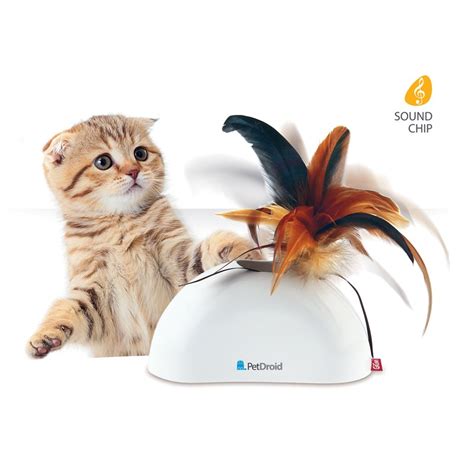 Aktiveringsleksak - kattleksaker som aktivera din katt! - Köp idag