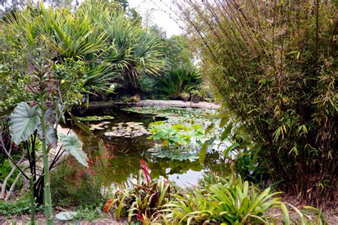 Rainforest Ponds Waterfalls At San Diego Botanic Garden