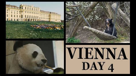 Schönbrunn Palace And The Oldest Zoo In The World Vienna Day 4