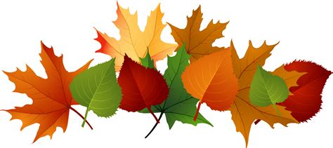 Autumn Leaves Pile Clip Art Png Download Full Size Clipart