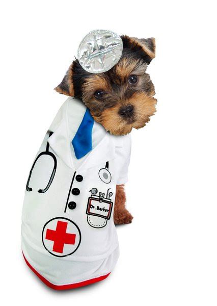 Doctor Barker Dog Costume Dr Pet Costume