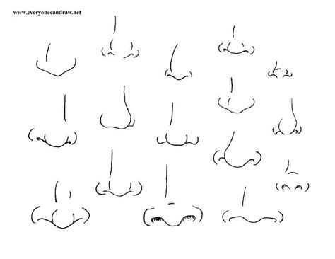 How To Draw A Nose Easy Cartoon Draw Shenanigan