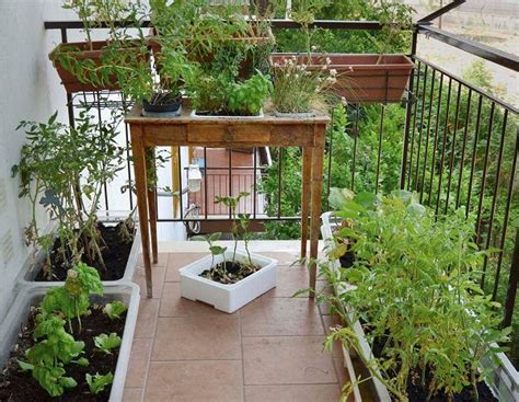 Vegetable gardening hack for small balcony garden and apartment garden : How To Develop Terrace Garden In India - Garden Design Ideas