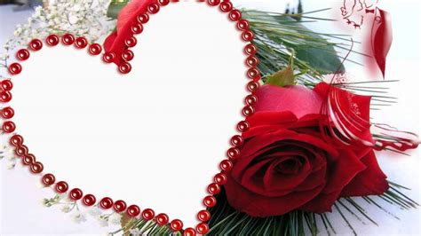 This wedding love photo frame has the ability to collage pictures that has different types of love frames to brighten your life. Heart Red Rose Love Beautiful Marriage Frames Desktop Backgrounds 2560x1600 : Wallpapers13.com