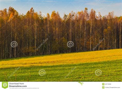 Autumn Landscape View Fields Woods Fall Colors Stock Image Image Of
