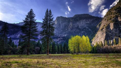 Yosemite National Park Landscape Wallpaper Backiee