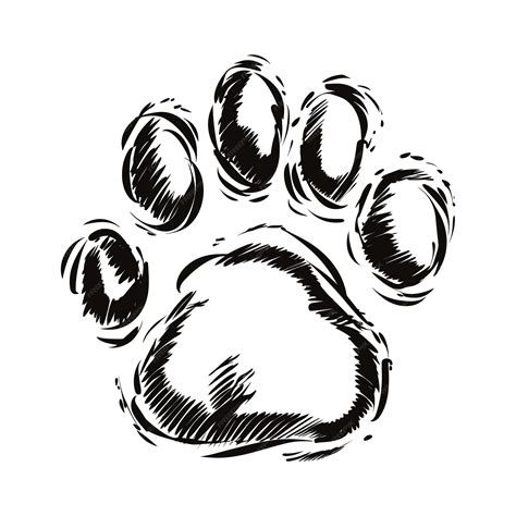 Premium Vector Dog Paw Hand Drawn Sketch Pet Footprint Illustration