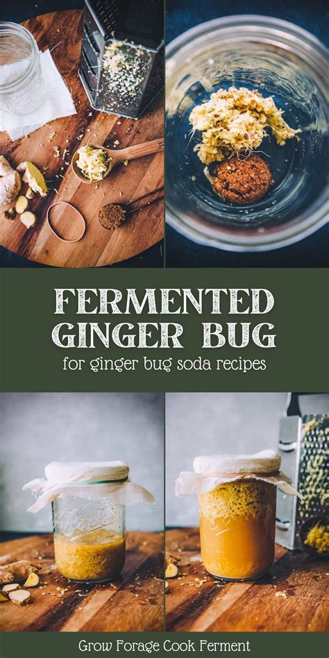 How To Make A Ginger Bug For Wild Fermented Sodas Recipe Soda