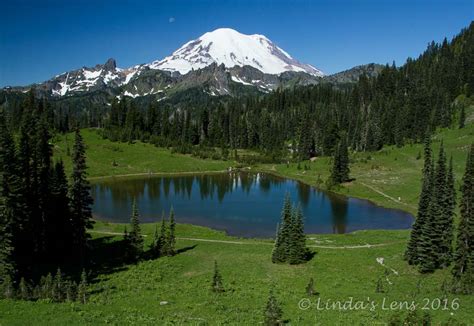 Lindas Lens Tipsoo Lake And Sunrise Again