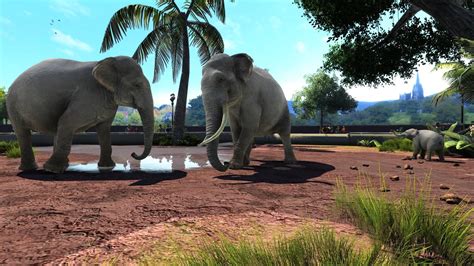 Zoo Tycoon 2 Ultimate Collection Pc Associationnaa