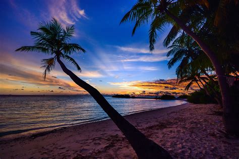 Coconut Trees Beach Clouds Hd Nature 4k Wallpapers Images