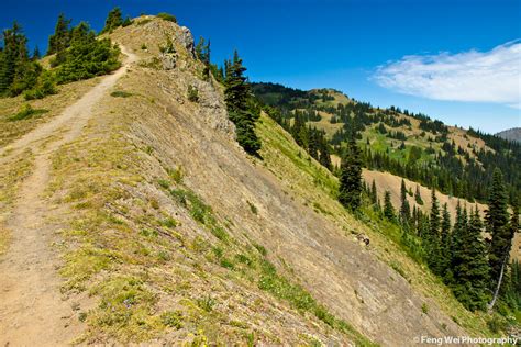 Hiking Trail On Top Of Hurricane Ridge Feng Wei Flickr