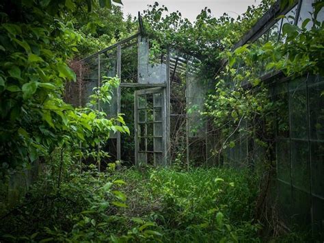 A Compendium Of Abandoned Greenhouses Greenhouse Nature Abandoned