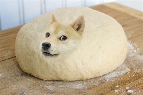 Part of a series on interior monologue captioning. Pizzadoge | Doge | Know Your Meme