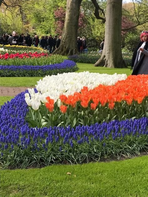 Completa il cruciverba indica i nomi dei giorni della settimana ed i mesi dell'anno. Keukenhof, il parco aperto solo due mesi - la Repubblica