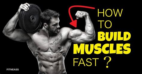 5 Essential Tips For Those Who Want To Build Muscles Fast Fitneass