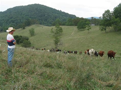4r Ranch Greener Pastures