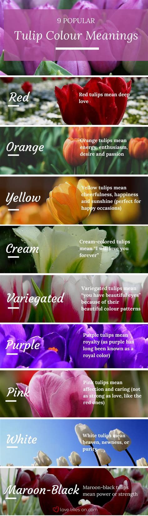 Check spelling or type a new query. Funeral Flowers and Their Meanings | The Ultimate Guide ...