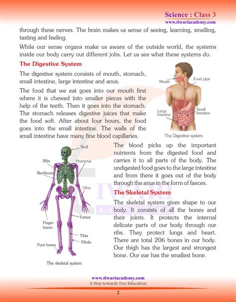 Ncert Solutions For Class 3 Science Chapter 6 Our Body