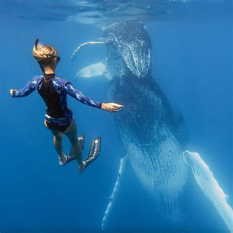 Incredible Underwater Photography By Juan Oliphant Check More At