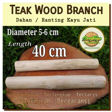 Dahan Ranting Kayu Jati 5 6 40 Cm Teak Wood Branch Macrame Wood Log