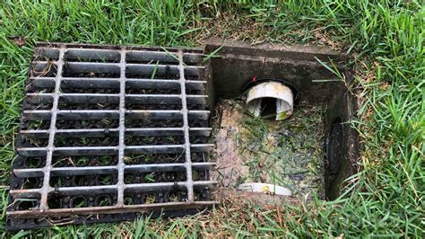 How To Know If Your Underground Gutter Drain Is Clogged