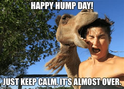 Happy Hump Day Memes Are Invading The Internet Hashtag Hyena