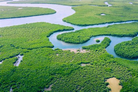Chemnitz Freiberger Wissenschaftler Untersuchen Gewässer Im Amazonas Gebiet