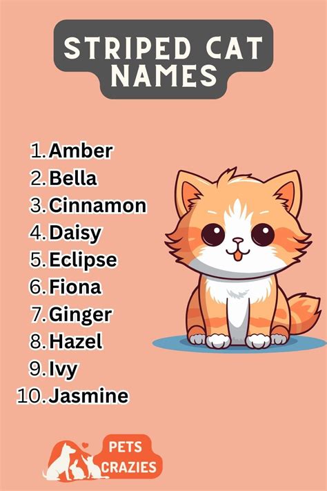200 stripped cat name funny and creative ideas