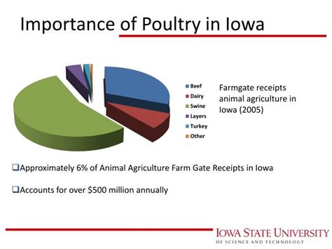 Ppt Poultry And Egg Production Powerpoint Presentation Id6797350