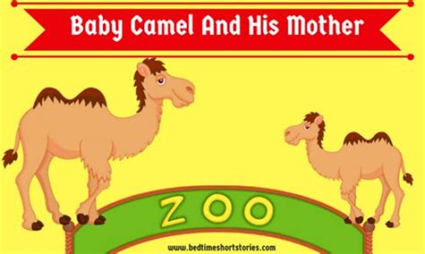 Just for one night, they say. short story about animals with moral lesson Archives ...