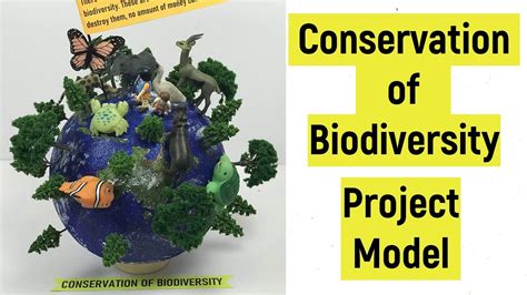 Conservation Of Biodiversity Project Model Conservation Of