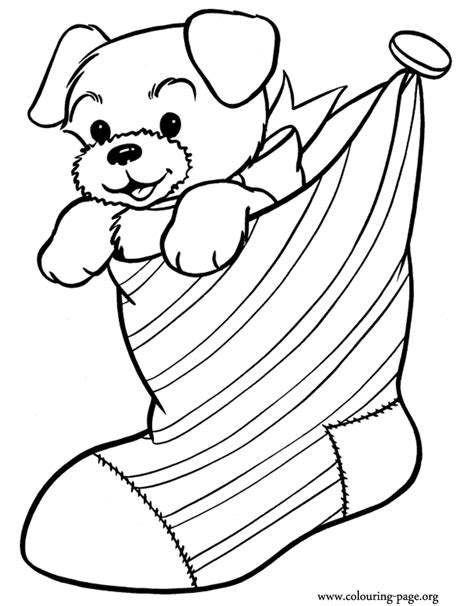 Coloring for girls and boys. Christmas - Puppy inside a Christmas stocking coloring page