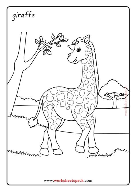 Free Zoo Animal Coloring Pages Worksheetspack