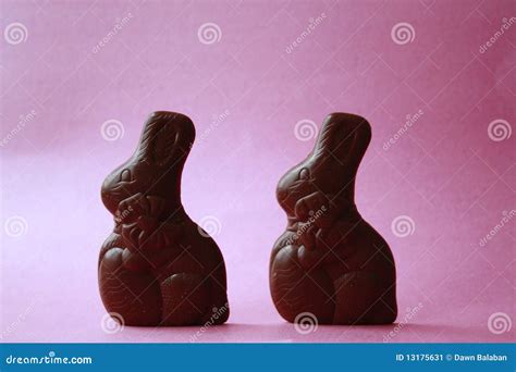 Chocolate Bunnies Stock Image Image Of Basket Bunny 13175631