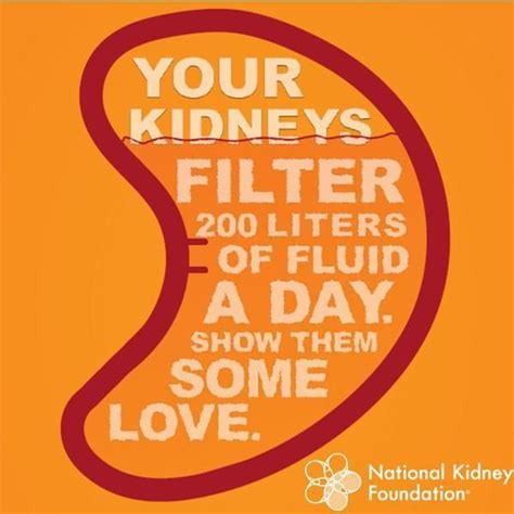 Pin On Kidney Disease Quotes