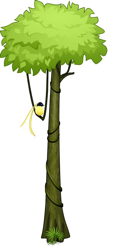 Rainforest Bananza! | Woozworld News Amazon rainforest frame (with images) | plant drawing.