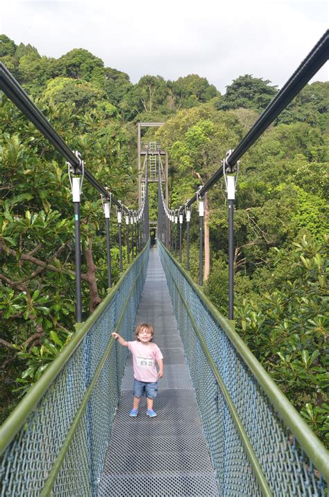 There are 3 moderate trails in macritchie reservoir park ranging from 12.2. MacRitchie Nature Trail | Nature trail, Country roads ...