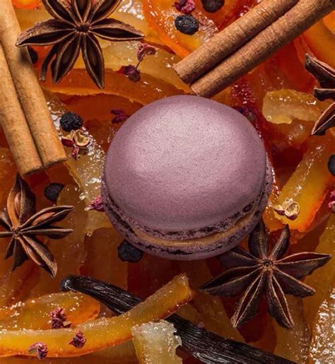 laduree paris officiel on instagram “venez découvrir le macaron epices et fruits moelleux come