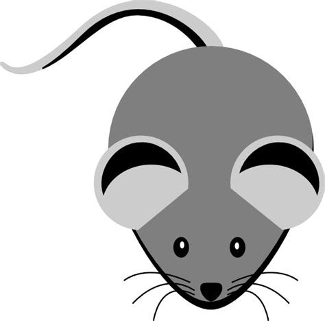Mouse Grey Clip Art At Vector Clip Art Online