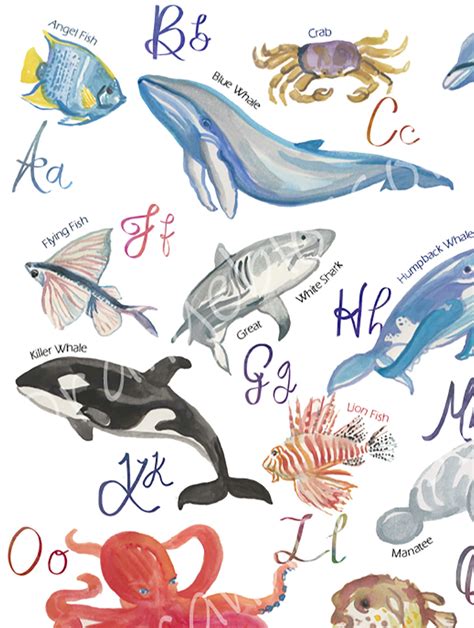 Sea Animals Alphabet Print A Z Sea Creatures Nursery Art Etsy