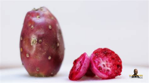 Opuntia cactus or prickly pear is very beautiful and decorative cactus with many species and varieties, the fruits of some species are eaten and in the manufacture of in addition, in this article you will learn how to properly care for prickly pear, what are its useful properties, the sick cactus and. How to Eat Cactus Fruit (Prickly Pear) | Taste Test - YouTube