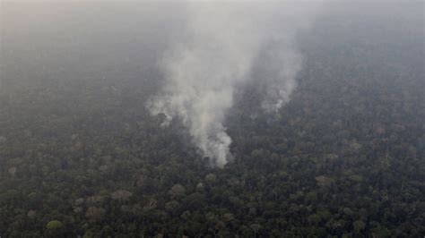 Amazon Rainforest Fires Heres Whats Really Happening The New York