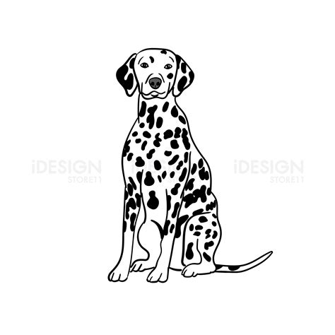 Dalmatian Svg Clipart Portrait Dog Vector Art Lab Cut File Etsy