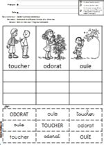 Exercice de math pour cp. Les 5 sens - Charivari à l'école