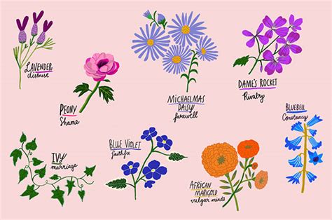 But for victoria jones, it's been more useful in communicating mistrust and solitude. the language of flowers • life • frankie magazine ...