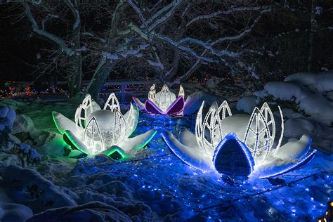 Drive Thru Holiday Lights Arboretum More Tickets Available