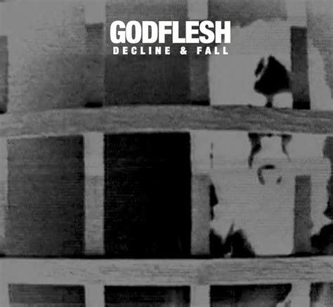 Godflesh Decline And Fall The New Noise